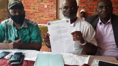 20200724_164637-1536×1152