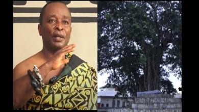 Dxfk9kpTURBXy8yYWZkMjY1ODBjNDViMzlkYTIxNWQ5ZTg5MjI1ZTQ4Ny5qcGeRkwXNAxTNAbyBoTAB