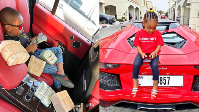 5e93daed9671a2001cc583c7