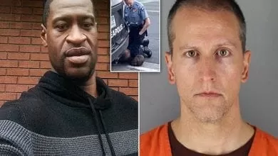 32543982-0-image-a-2_1598727922515