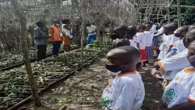 enfants encadreurs cacao