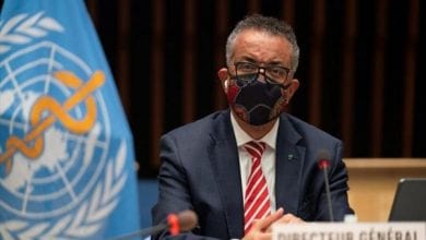 49ff3ceff7063759c4d17973ab5c5da8-696×418