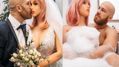 freepressjournal_2020-12_60e0d33a-82da-4444-a8e1-afd7f6562564_cats