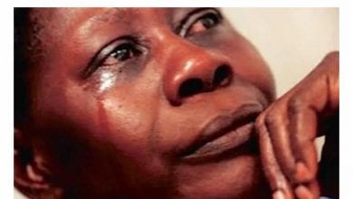 0f846d66-0be8-443e-add0-1a408a3f1f9e