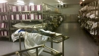 South-African-Motuary