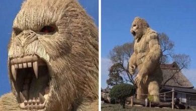 Villagers-build-giant-gorilla-to-scare-of-Covid-19-lailasnews-4-758×415