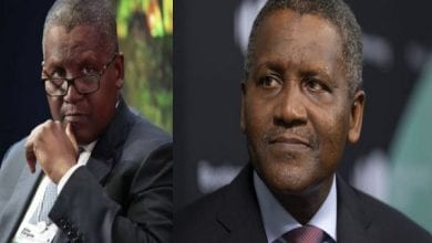 photogrid_15513453768726138962747353749427-e1551345563316