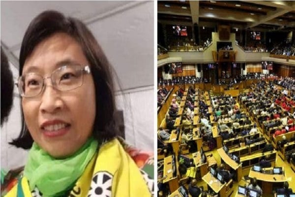 Chinese-woman-becomes-member-of-South-Africas-parliament-lailasnews-7-600×328