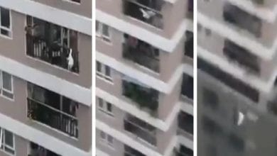 B9726303740Z.1_20210302170334_000+G30HMSKPN.1-0