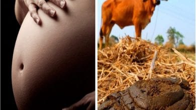 Applying-cow-dung-into-vaginas-dangerous-Gynaecologist-warns-pregnant-women-lailasnews-scaled