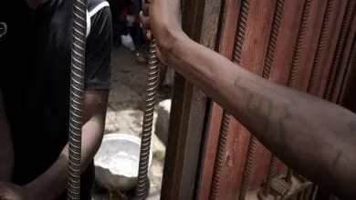 1024x538_cmsv2_86303af6-030c-514c-8d54-d559b1baad19-5773754 (1)