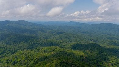 1100x619_cmsv2_8c539065-9b9a-5357-9bee-57759aca6393-5799192