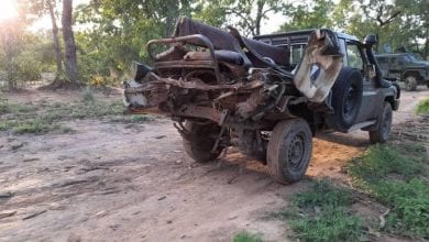 198986576_4547360535276921_5867176821131678346_n