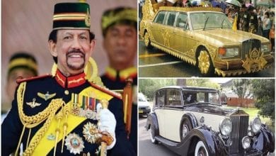 426cc04221079dac.jpgfit1200675ssl1 (1)