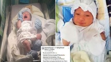 44241293-0-image-a-77_1623749055442 (1) (1)