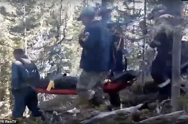 Russie: un garçon tué et mangé par un ours dans un parc national