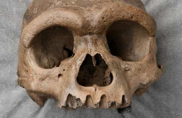 Homo longi: le nouveau plus proche parent de l’humanité-(Photos)