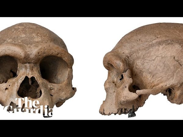 Homo longi: le nouveau plus proche parent de l’humanité-(Photos)