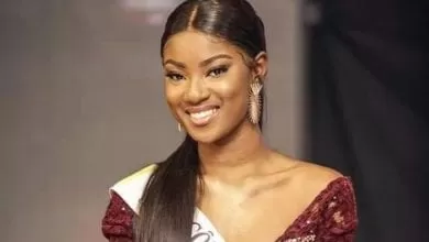 image_search_1604913173990