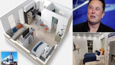 45092751-0-image-a-29_1625563574392 (1)