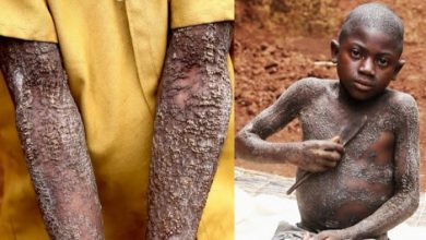 33e79c974c6c4d7987a02b223f22efaa