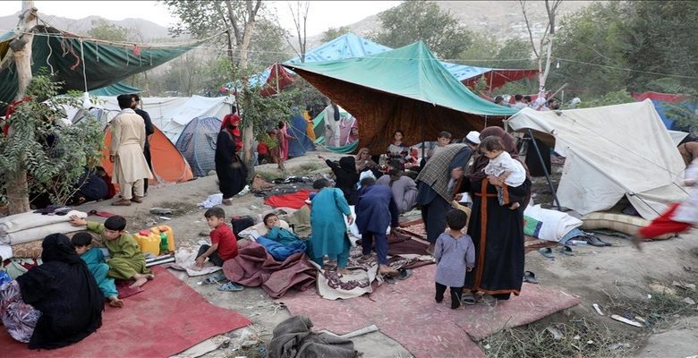 thumbs_b_c_e594e3f7fa3a5285c4f07dec648237ef