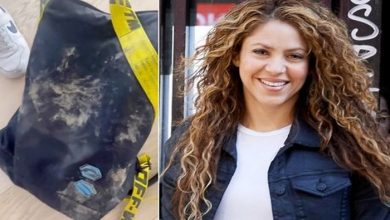 0_Pop-star-Shakira-attacked-and-robbed-by-two-wild-boar-in-Barcelona-park