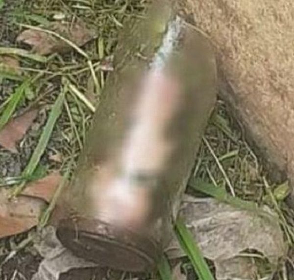 Argentine: un bocal contenant un organe génital masculin coupé trouvé dans un jardin