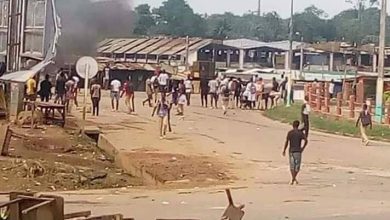 57209105_1108589059319991_2274627427424534528_n