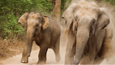 Screenshot_20210907-165130