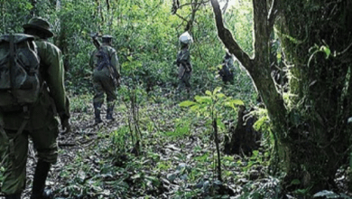 Screenshot_20210908-123501