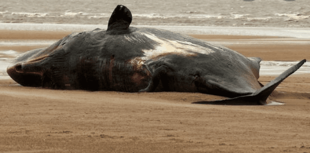 Screenshot_20210909-132242