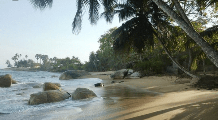 Côte d'Ivoire-Sassandra / Un grand poisson se décompose sur la plage