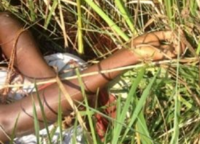 Côte d'Ivoire/ Mort accidentelle d'un jeune de 19 ans dans une forêt classée