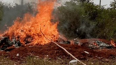 Screenshot_20210917-150410