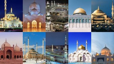 post57_title_20161111_091950