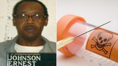 0_Ernest-Lee-Johnson-main