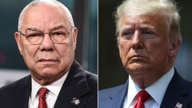 200607110631-powell-trump-split-large-169