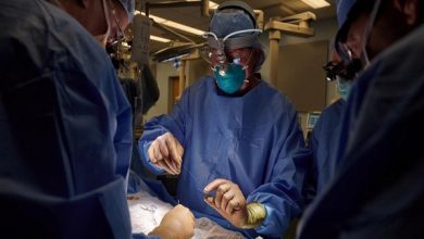 clipboard-21-1042339-1634712357