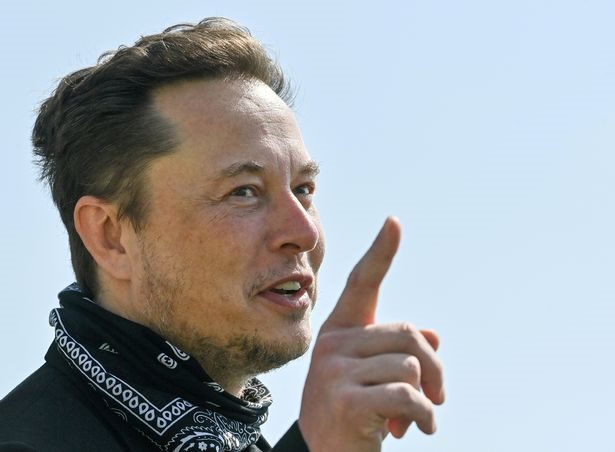 0_FILE-PHOTO-FILE-PHOTO-Tesla-CEO-Musk-visits-the-construction-site-of-Teslas-Gigafactory-in-Gruenh
