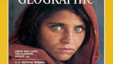 0_Screen-Shot-2021-11-25-at-162231