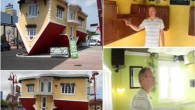 Man-builds-upside-down-house-shares-video-beautiful-interior
