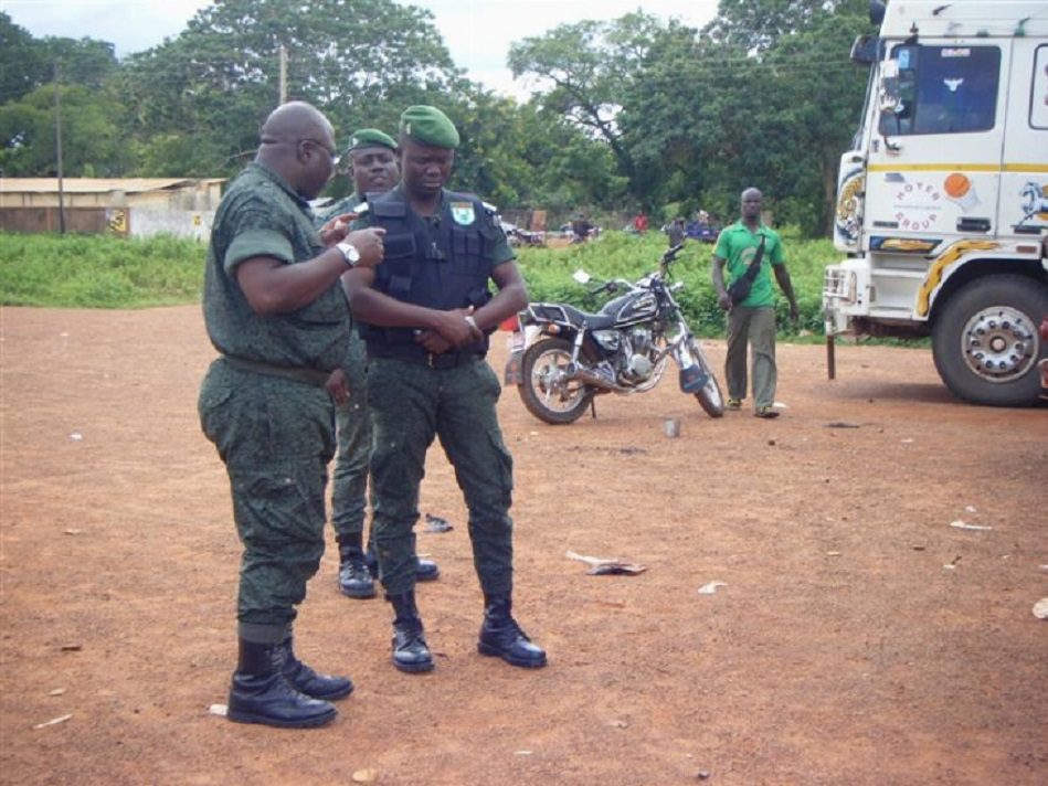 vene 8 - Plus de 2 tonnes de cannabis saisies à la frontière Côte d'Ivoire-Ghana
