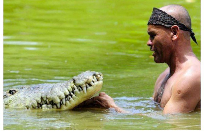 259981583 406816524474217 5043014276293712674 n - 22 ans d'amitié incroyable entre le crocodile et l'homme qui lui a sauvé la vie : (vidéo)