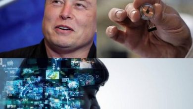 elonmuskmicrochip