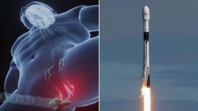 0_New-invention-helps-men-last-longer-in-bed-by-electrocuting-them-and-its-coming-soon