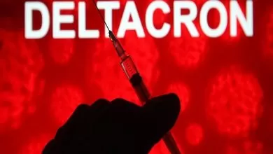 9801b28a-7754-4f21-8ff6-788b579d7a58_bdc71012