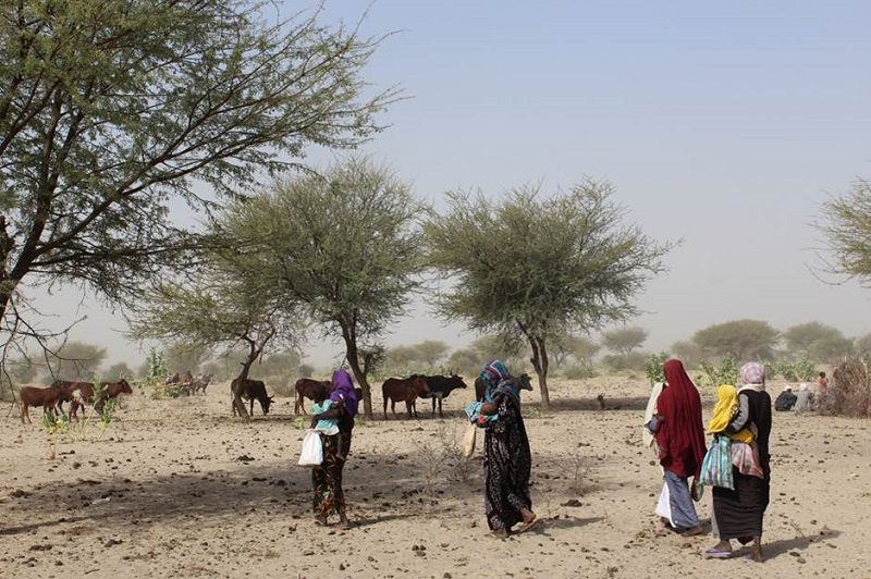 Tchad : Le manque de pluie aggrave la situation de la malnutrition