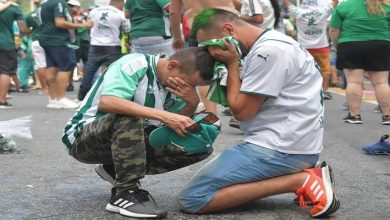 PALMEIRAS
