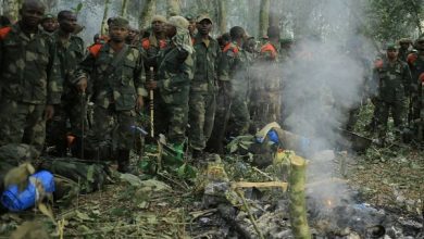 25e28d874acc4846a82d17dcba8d6dcf